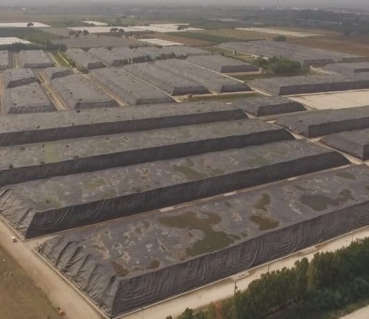 Abbiamo un piano (?)