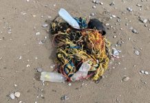 “Beach litter”: Legambiente monitora i rifiuti in spiaggia (e i risultati non sono confortanti) beach litter