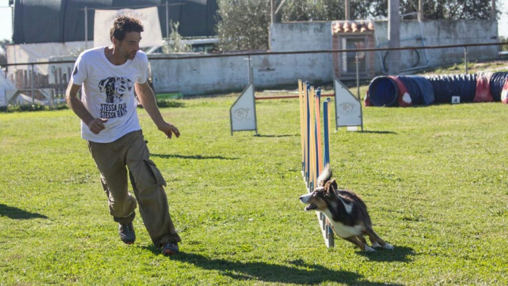 sport cinofili