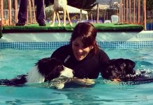 Sport Cinofili: intervista a Roberta Amoroso sport cinofili