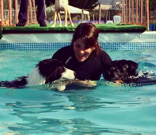 Sport Cinofili: intervista a Roberta Amoroso sport cinofili