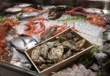 “Questione di… Radici!” – di Antonio Vacca Radici