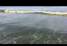 Acque sporche, bagnanti in fuga dai lidi battipagliesi