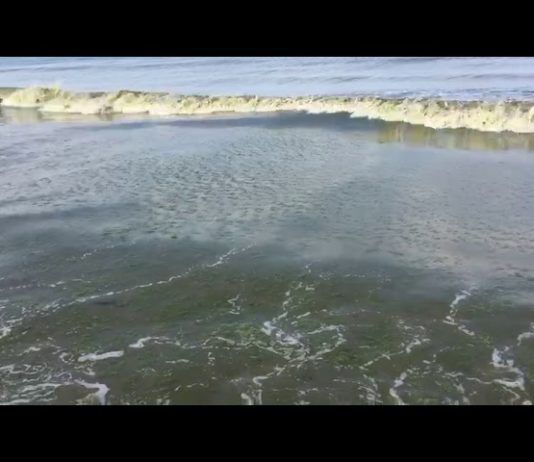 Acque sporche, bagnanti in fuga dai lidi battipagliesi