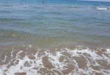 I balneatori di Paestum Sea Life chiedono risposte urgenti e concrete sulla tutela del mare mare paestum