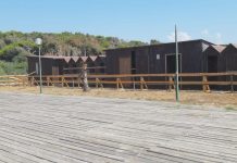 Spiaggia per i disabili, Speranza presenta un’interrogazione spiaggia disabili