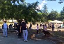 Festa del Cane: domenica, in villa comunale “Longo”, la decima edizione Festa del Cane
