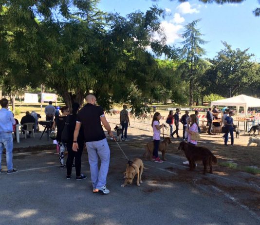 Festa del Cane Battipaglia: parte l’ottava edizione della manifestazione Festa del Cane