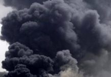 Guida sintetica all’universo delle diossine