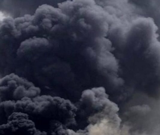 Guida sintetica all’universo delle diossine