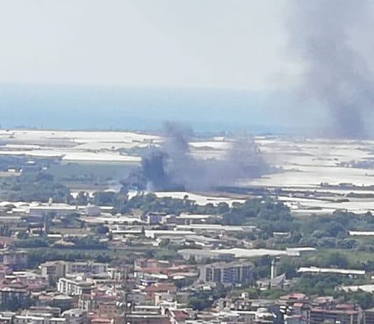 Incendio a Battipaglia: in fiamme un terreno agricolo Incendio a Battipaglia Mgm
