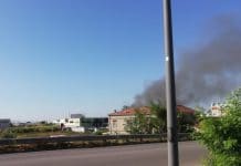 Rogo della M.G.M.: Confagricoltura Salerno presenta querela verso ignoti Rogo