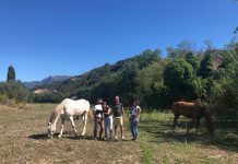 Refuse Factory: quando l’artigianato e l’innovazione vanno di pari passo Refuse Factory