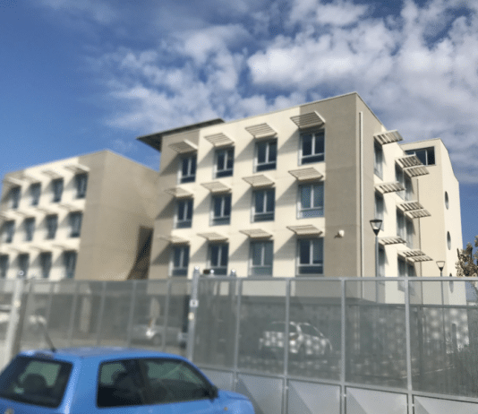 Inps infestata dai topi: personale in agitazione e sportelli chiusi Inps infestata dai topi