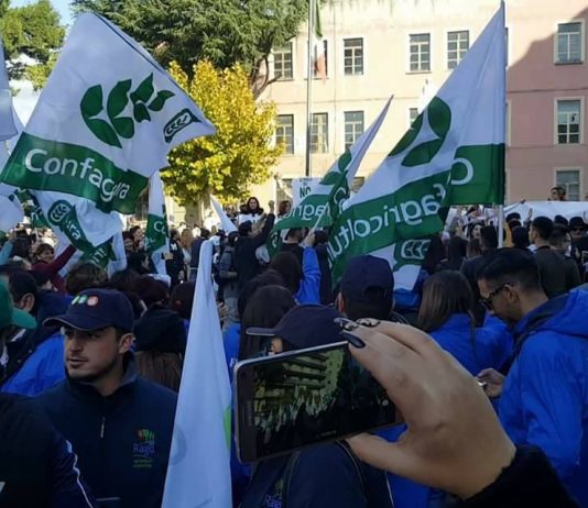 Emergenza ambientale: il 6 dicembre in piazza per alzare la voce Emergenza Ambientale