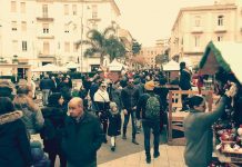 Natale a Battipaglia: torna la rassegna “Serre d’Inverno” Natale a Battipaglia