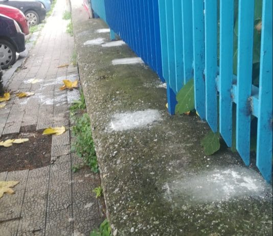 Bocconi avvelenati per i randagi: l’ex F. Fiorentino è campo minato Fiorentino