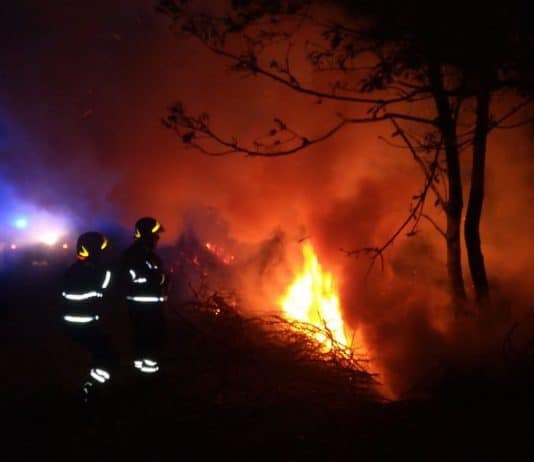 Incendio in località Garezzano: Protezione Civile sul posto Garezzano