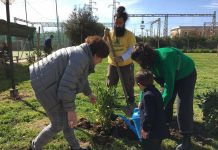 “Cento alberi per Battipaglia”: successo per il secondo appuntamento Cento alberi per Battipaglia