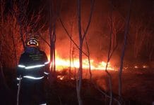 Incendi di sterpaglie: Protezione Civile e Vigili del Fuoco sul posto Incendi