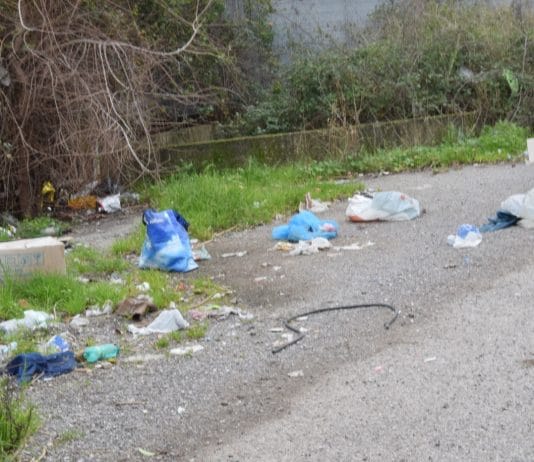 Rifiuti in Viale Francia: la denuncia dei residenti