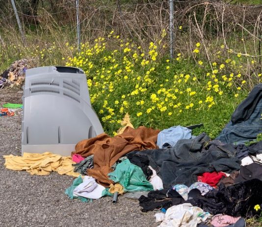 Micro discariche: degrado in Viale della Libertà, Cooperative e Cimitero Micro discariche