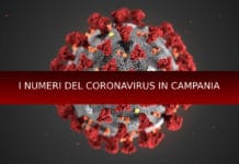 I numeri del Coronavirus in Campania Coronavirus Campania