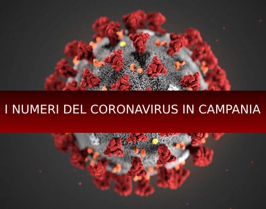 I numeri del Coronavirus in Campania Coronavirus Campania