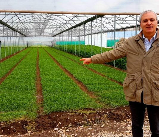 Stop spostamenti tra Comuni fino al 14 aprile, Coldiretti: «Consentiti per motivi di lavoro» Coldiretti