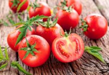 Pomodoro: origini e varietà di una delle verdure protagoniste in tavola Pomodoro