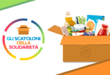 Battipaglia, gli scatoloni della solidarietà per combattere il Coronavirus gli scatoloni della solidarietà