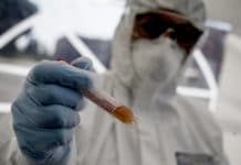 Un nuovo caso di Covid-19 a Battipaglia covid