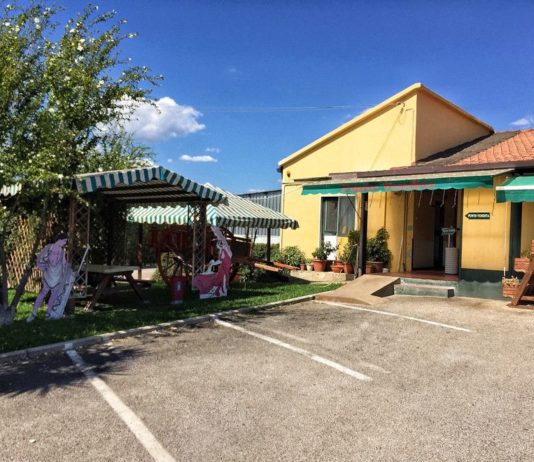 La “Zizzona” di Battipaglia e il caseificio “La Fattoria”: una storia di successo La Fattoria La Zizzona di Battipaglia