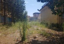 Scuole “Fiorentino”: una giungla abbandonata nel quartiere Sant’Anna fiorentino