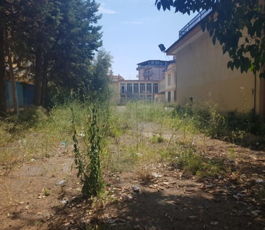 Scuole “Fiorentino”: una giungla abbandonata nel quartiere Sant’Anna fiorentino