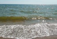 Sversamenti nella foce del Tusciano, il mare si tinge di rosso. Legambiente: “Campania maglia nera” sversamenti Tusciano