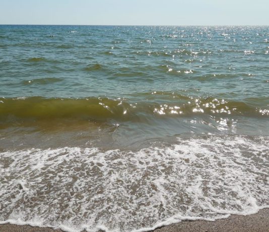 Sversamenti nella foce del Tusciano, il mare si tinge di rosso. Legambiente: “Campania maglia nera” sversamenti Tusciano