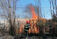 Vasto incendio in località Verdesca: intervenuta la Protezione Civile Protezione Civile incendio Verdesca