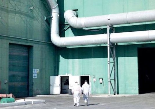 Compostaggio, Coscia: «Stiamo valutando l’ipotesi di non realizzarlo» compostaggio battipaglia