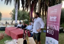 Festival della Dieta Mediterranea: i vincitori del Premio Vigna Bio 2020 Premio Vigna Bio
