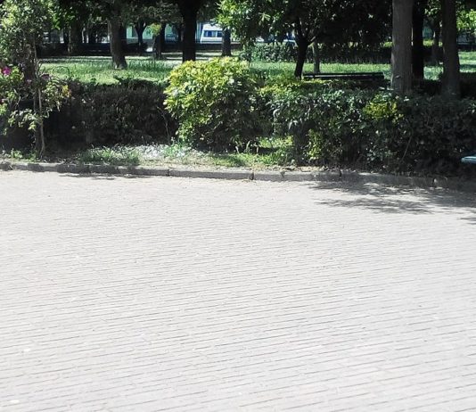 Alba manda i privati nella villa comunale di Taverna centri estivi Alba villa comunale taverna delle rose