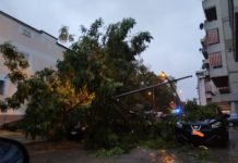 Battipaglia, il maltempo presenta il conto alle aziende agricole: danni per 1 milione di euro Maltempo