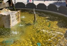 Battipaglia, acqua sporca e rifiuti nella fontana di piazza Amendola Fontana piazza Amendola