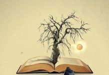 Il film del mese: L’albero dei frutti selvatici