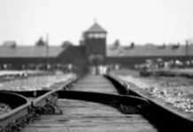 Giornata della Memoria: le iniziative messe in campo per non dimenticare Giornata della Memoria