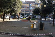 Battipaglia senza verde: “decapitati” sette alberi in piazza San Francesco San Francesco