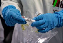 Covid-19, variante inglese: in Campania contagiato un positivo su quattro Covid-19 variante inglese