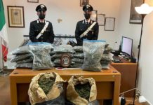 Pontecagnano: sequestrati 41kg di marijuana nascosti in un pacco Marijuana