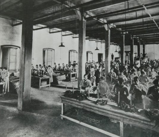 8 marzo: Battipaglia News celebra le “Tabacchine” – EDITORIALE e FOTOGALLERY "Tabacchine" al lavoro