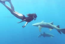 Ester, la ragazza di Battipaglia che salva foche e pinguini